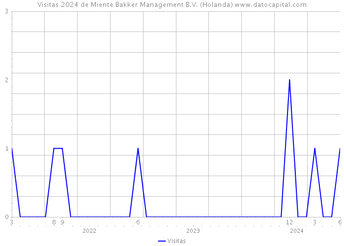 Visitas 2024 de Miente Bakker Management B.V. (Holanda) 