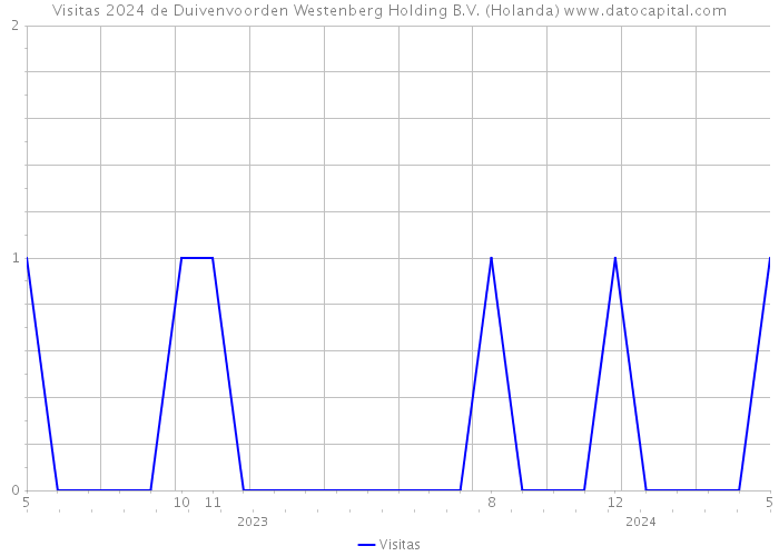 Visitas 2024 de Duivenvoorden Westenberg Holding B.V. (Holanda) 