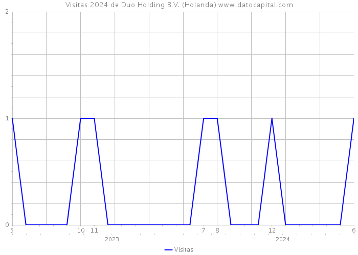 Visitas 2024 de Duo Holding B.V. (Holanda) 