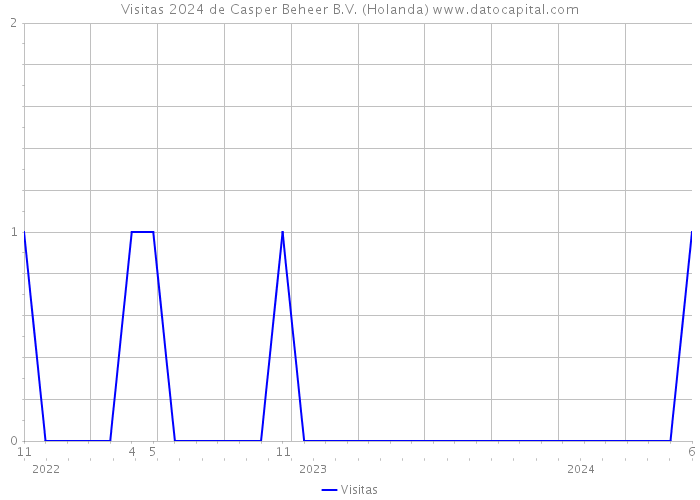 Visitas 2024 de Casper Beheer B.V. (Holanda) 