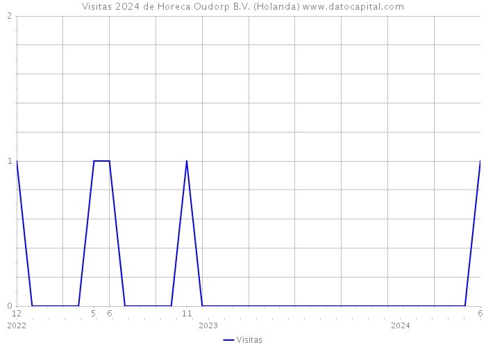 Visitas 2024 de Horeca Oudorp B.V. (Holanda) 