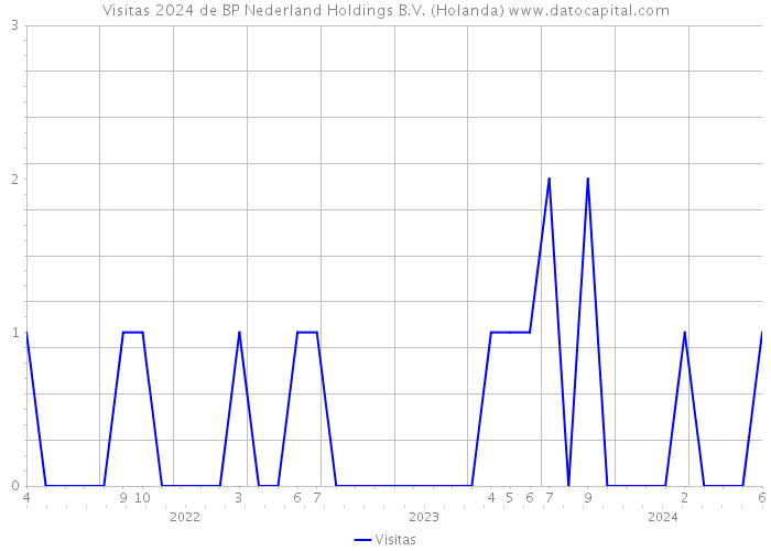 Visitas 2024 de BP Nederland Holdings B.V. (Holanda) 