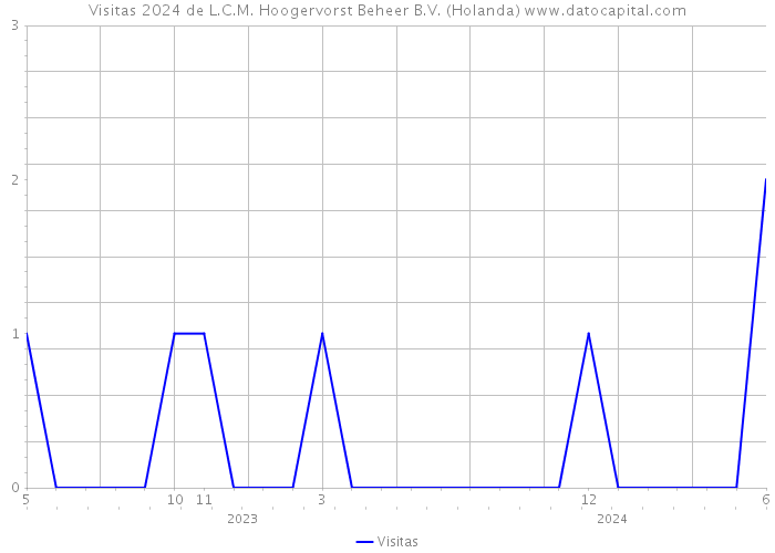 Visitas 2024 de L.C.M. Hoogervorst Beheer B.V. (Holanda) 