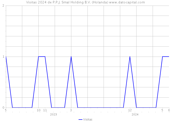 Visitas 2024 de P.P.J. Smal Holding B.V. (Holanda) 