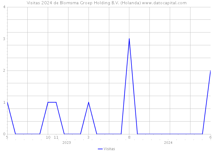Visitas 2024 de Blomsma Groep Holding B.V. (Holanda) 