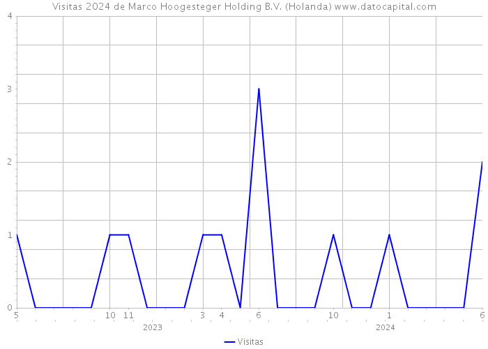 Visitas 2024 de Marco Hoogesteger Holding B.V. (Holanda) 