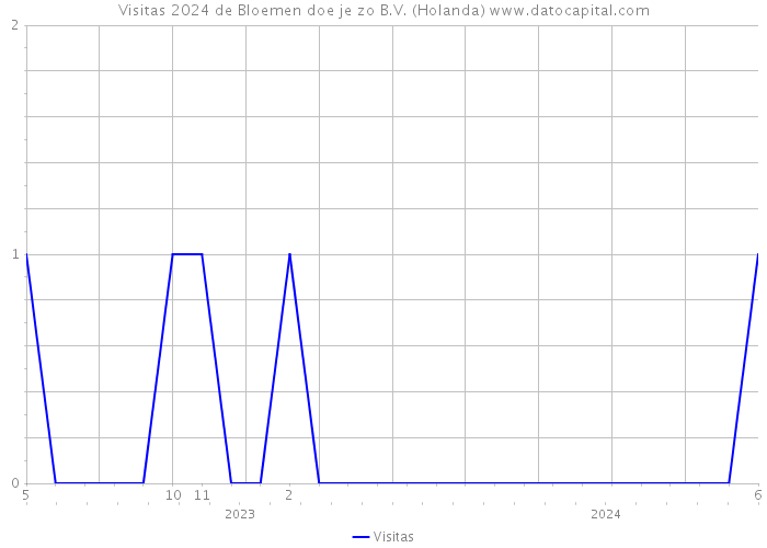 Visitas 2024 de Bloemen doe je zo B.V. (Holanda) 