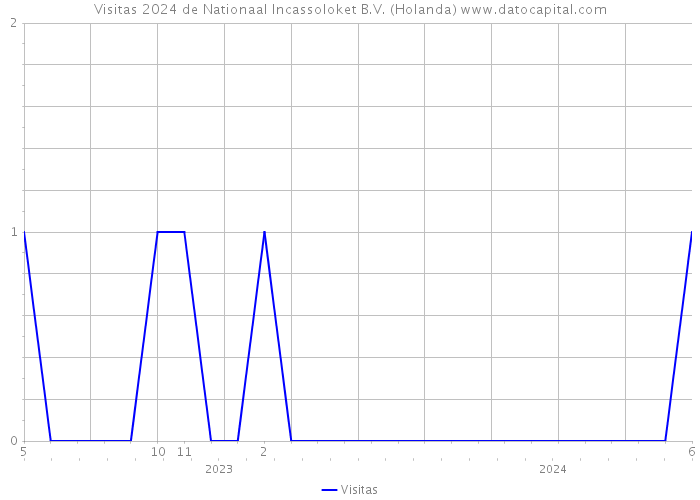 Visitas 2024 de Nationaal Incassoloket B.V. (Holanda) 