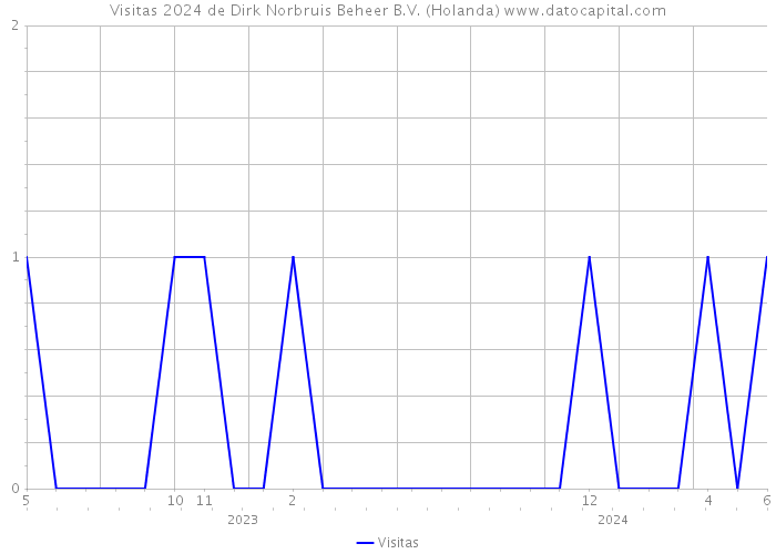 Visitas 2024 de Dirk Norbruis Beheer B.V. (Holanda) 