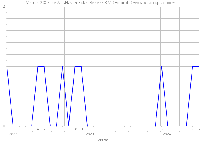 Visitas 2024 de A.T.H. van Bakel Beheer B.V. (Holanda) 