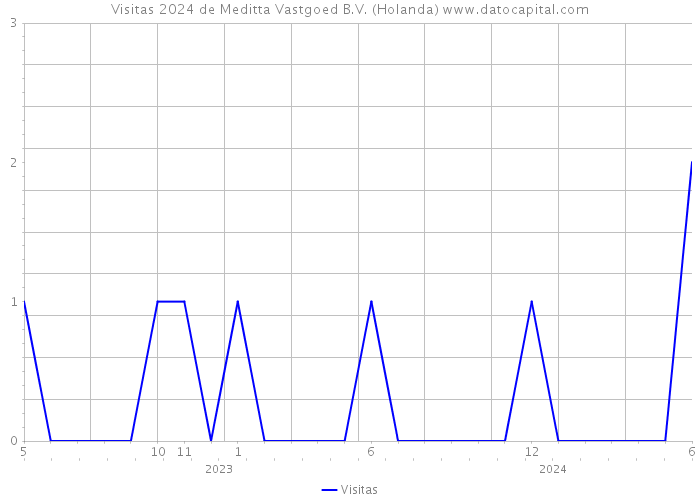 Visitas 2024 de Meditta Vastgoed B.V. (Holanda) 