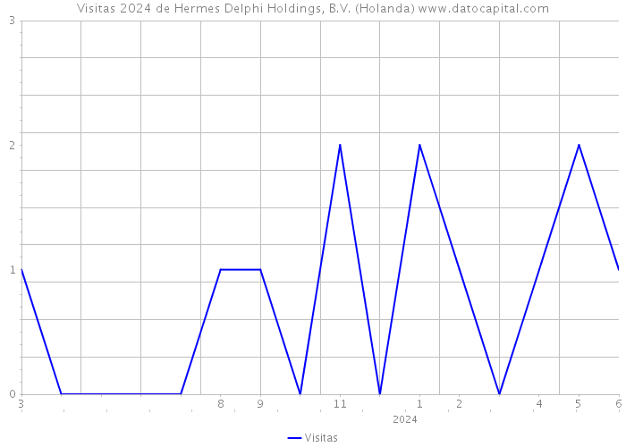 Visitas 2024 de Hermes Delphi Holdings, B.V. (Holanda) 