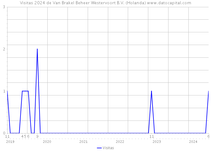 Visitas 2024 de Van Brakel Beheer Westervoort B.V. (Holanda) 