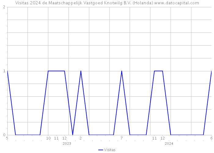 Visitas 2024 de Maatschappelijk Vastgoed Knotwilg B.V. (Holanda) 