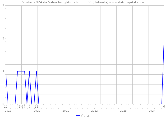 Visitas 2024 de Value Insights Holding B.V. (Holanda) 