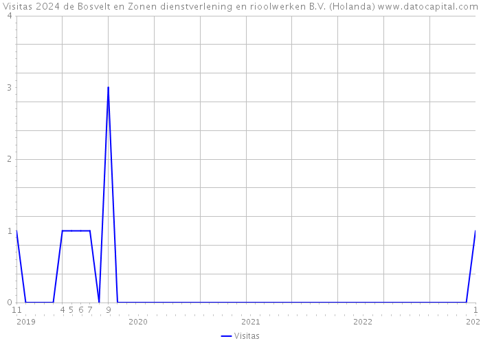 Visitas 2024 de Bosvelt en Zonen dienstverlening en rioolwerken B.V. (Holanda) 