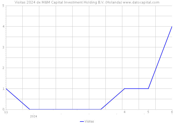 Visitas 2024 de M&M Capital Investment Holding B.V. (Holanda) 