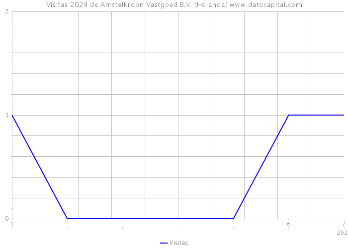 Visitas 2024 de Amstelkroon Vastgoed B.V. (Holanda) 