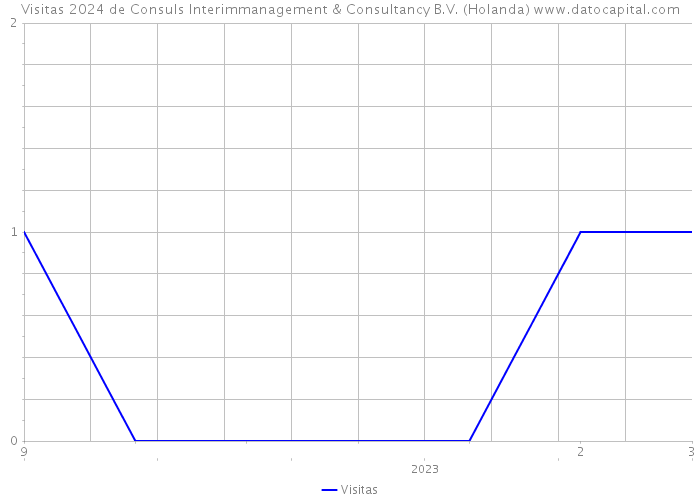 Visitas 2024 de Consuls Interimmanagement & Consultancy B.V. (Holanda) 