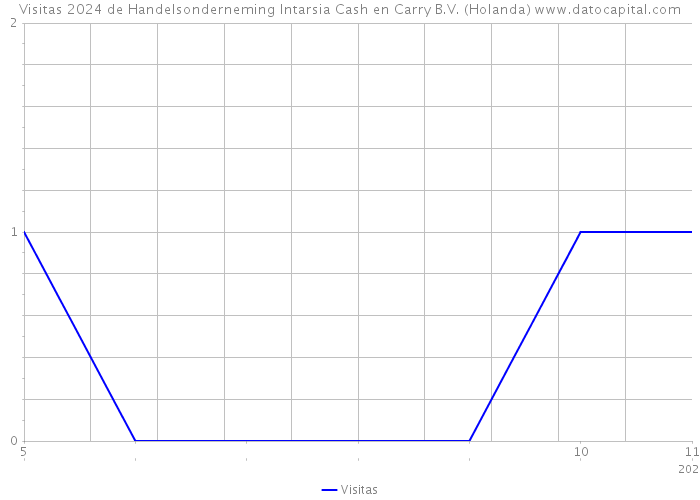 Visitas 2024 de Handelsonderneming Intarsia Cash en Carry B.V. (Holanda) 