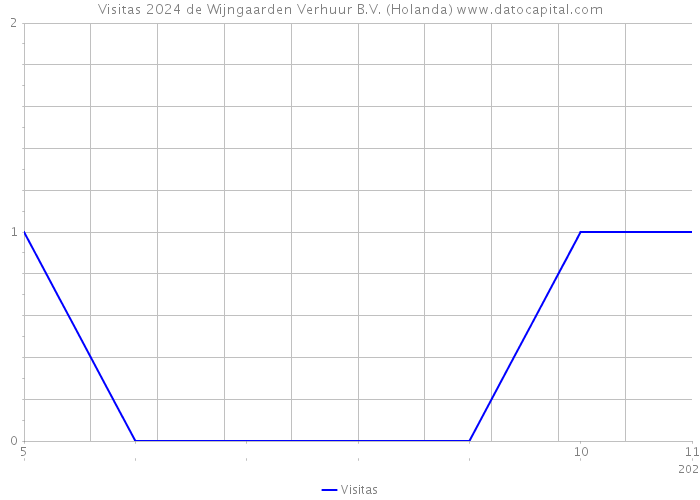 Visitas 2024 de Wijngaarden Verhuur B.V. (Holanda) 