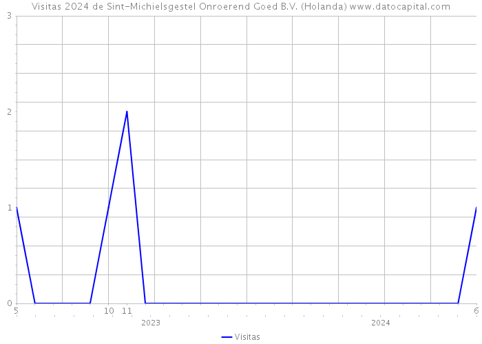 Visitas 2024 de Sint-Michielsgestel Onroerend Goed B.V. (Holanda) 