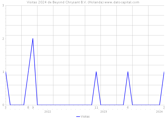 Visitas 2024 de Beyond Chrysant B.V. (Holanda) 