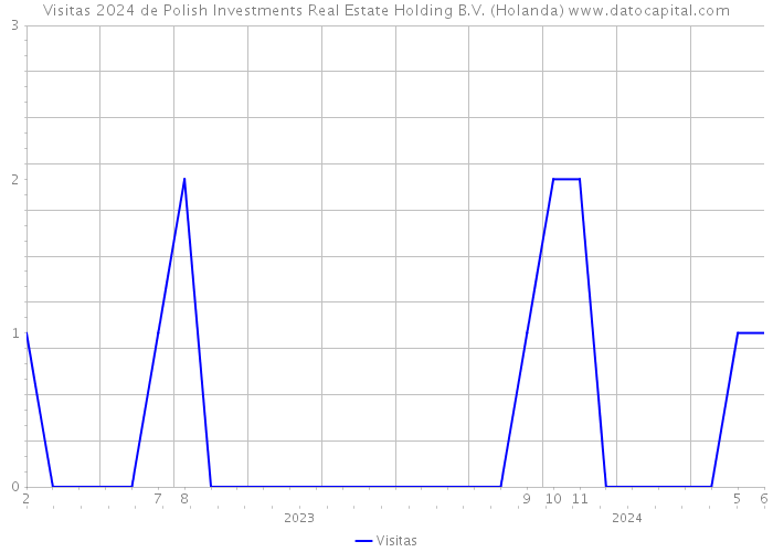 Visitas 2024 de Polish Investments Real Estate Holding B.V. (Holanda) 