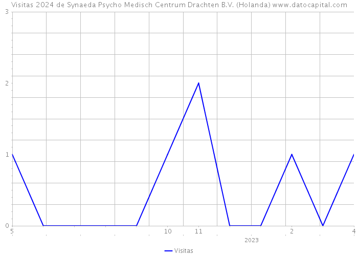 Visitas 2024 de Synaeda Psycho Medisch Centrum Drachten B.V. (Holanda) 