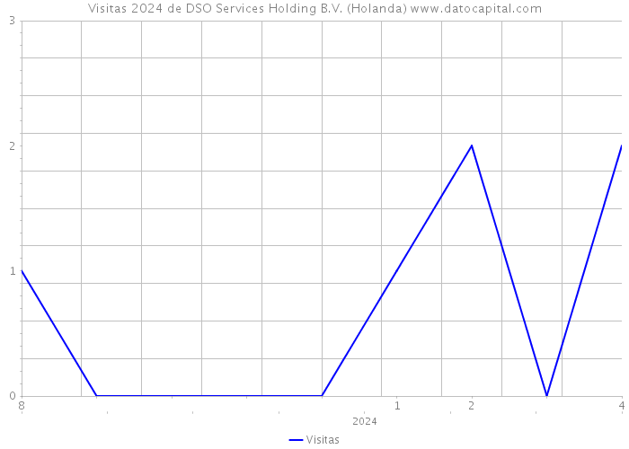 Visitas 2024 de DSO Services Holding B.V. (Holanda) 