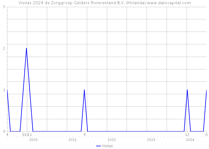 Visitas 2024 de Zorggroep Gelders Rivierenland B.V. (Holanda) 