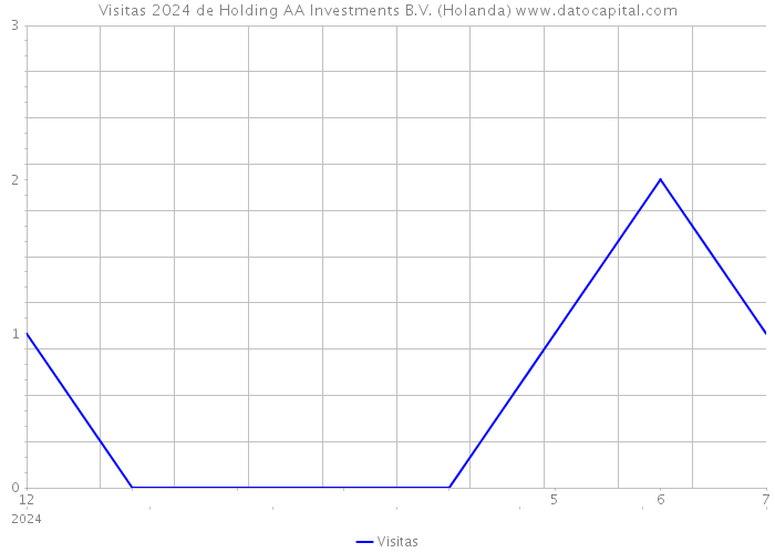 Visitas 2024 de Holding AA Investments B.V. (Holanda) 