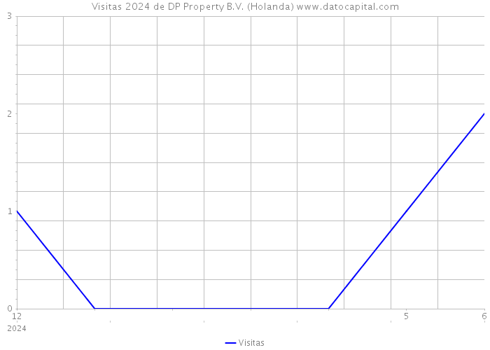 Visitas 2024 de DP Property B.V. (Holanda) 