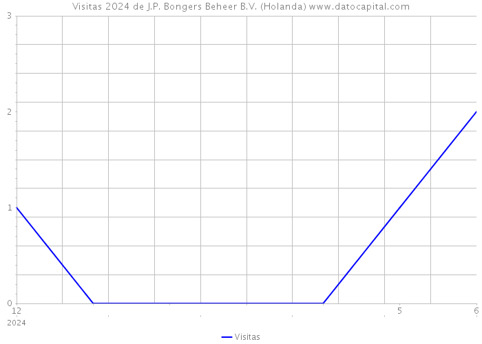 Visitas 2024 de J.P. Bongers Beheer B.V. (Holanda) 