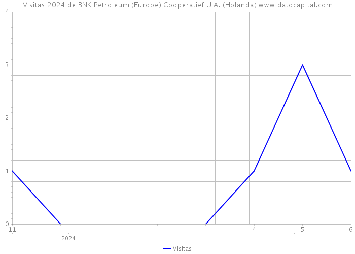 Visitas 2024 de BNK Petroleum (Europe) Coöperatief U.A. (Holanda) 