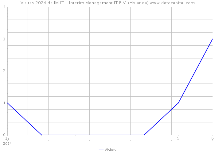 Visitas 2024 de IM IT - Interim Management IT B.V. (Holanda) 