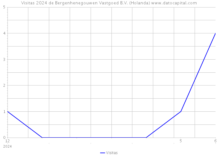 Visitas 2024 de Bergenhenegouwen Vastgoed B.V. (Holanda) 