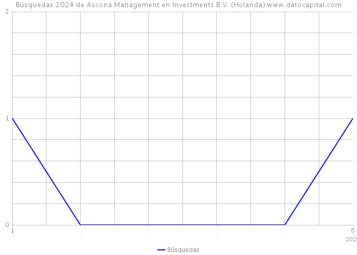 Búsquedas 2024 de Ascona Management en Investments B.V. (Holanda) 