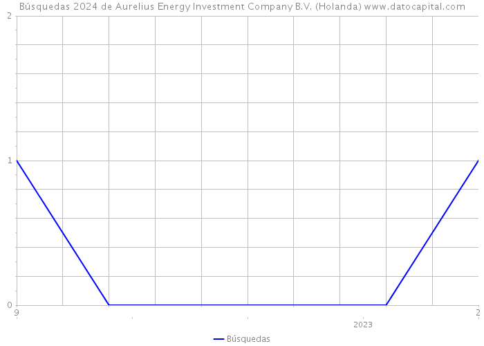 Búsquedas 2024 de Aurelius Energy Investment Company B.V. (Holanda) 