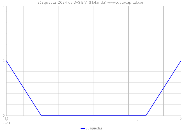 Búsquedas 2024 de BVS B.V. (Holanda) 