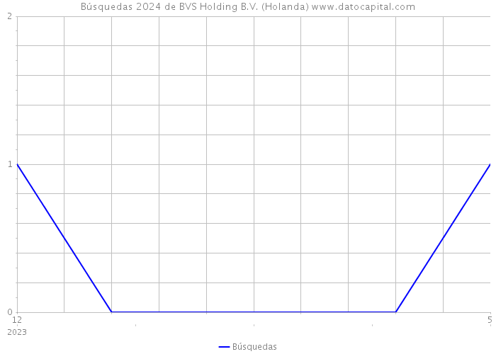 Búsquedas 2024 de BVS Holding B.V. (Holanda) 