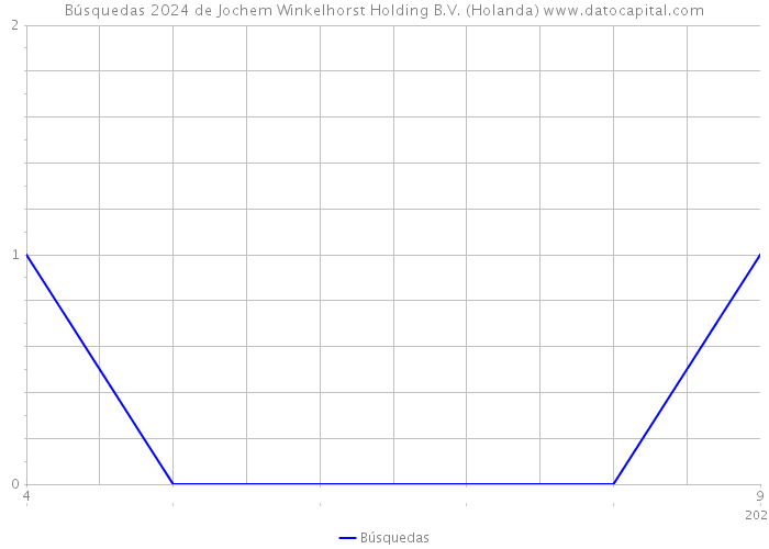 Búsquedas 2024 de Jochem Winkelhorst Holding B.V. (Holanda) 
