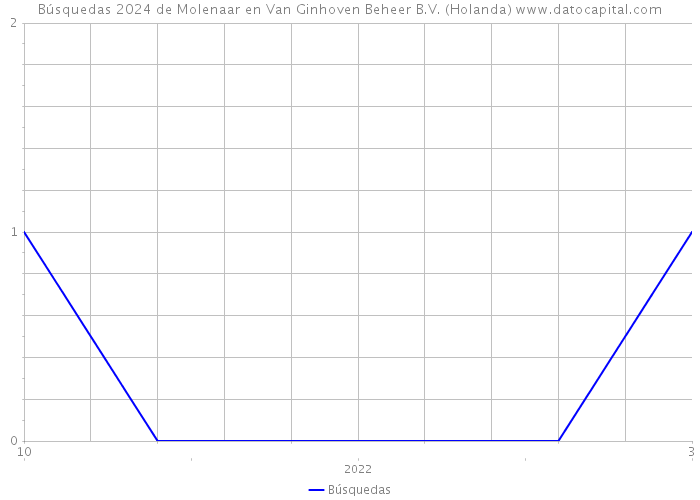 Búsquedas 2024 de Molenaar en Van Ginhoven Beheer B.V. (Holanda) 