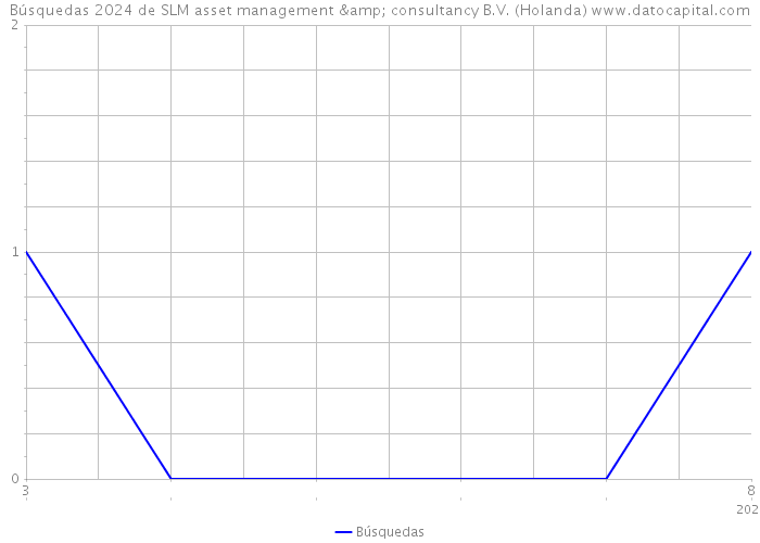 Búsquedas 2024 de SLM asset management & consultancy B.V. (Holanda) 