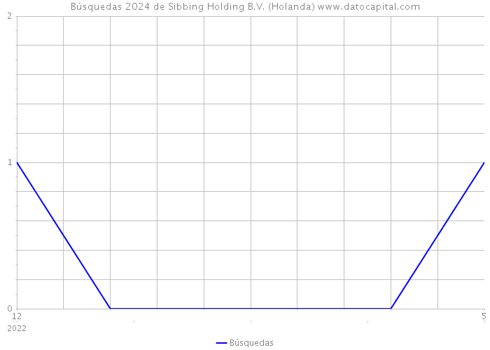 Búsquedas 2024 de Sibbing Holding B.V. (Holanda) 