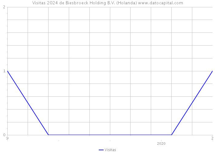 Visitas 2024 de Biesbroeck Holding B.V. (Holanda) 