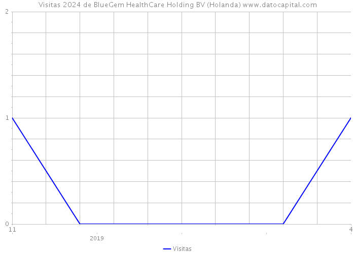 Visitas 2024 de BlueGem HealthCare Holding BV (Holanda) 
