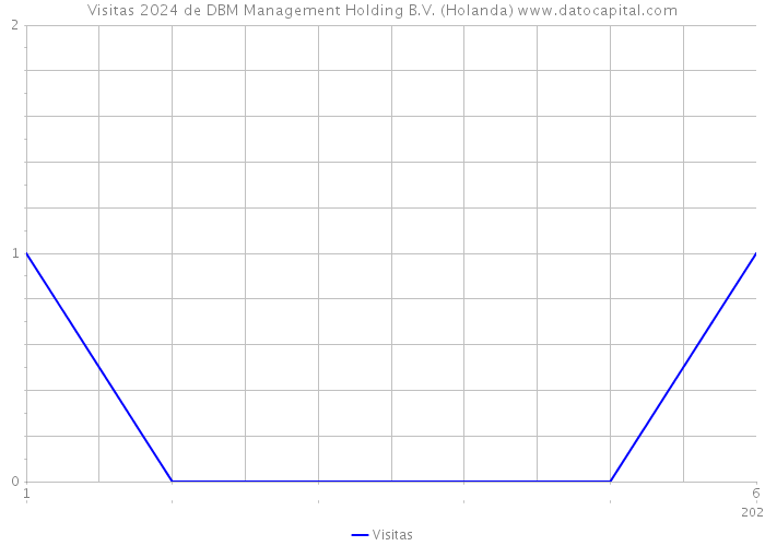 Visitas 2024 de DBM Management Holding B.V. (Holanda) 