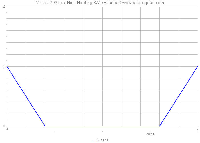 Visitas 2024 de Halo Holding B.V. (Holanda) 