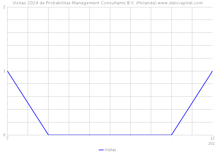 Visitas 2024 de Probabilitas Management Consultants B.V. (Holanda) 